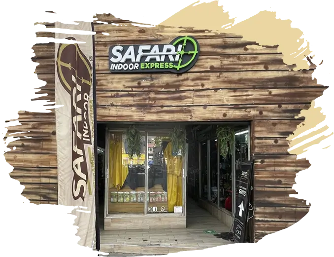 Safari Indoor