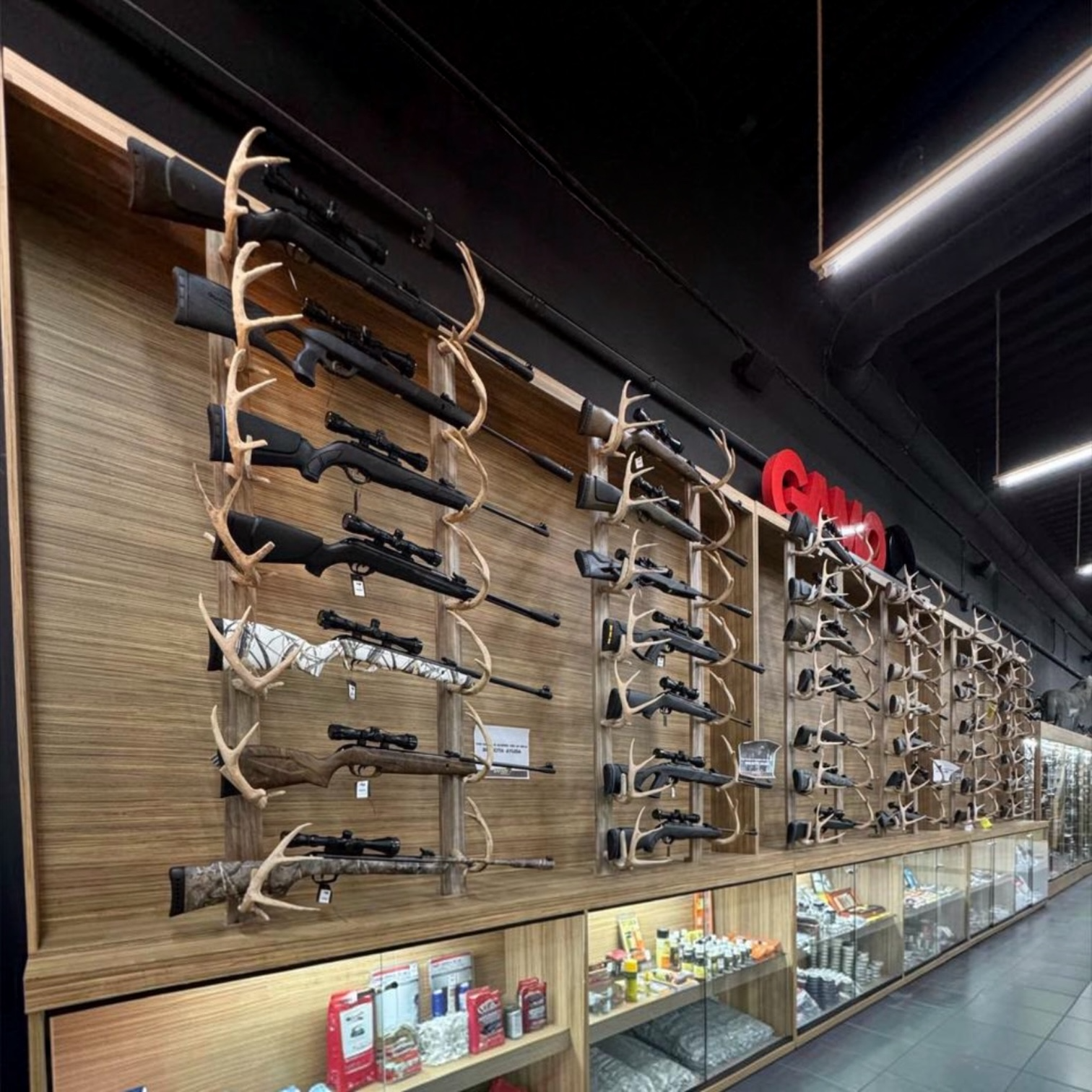 RIFLES DEPORTIVOS