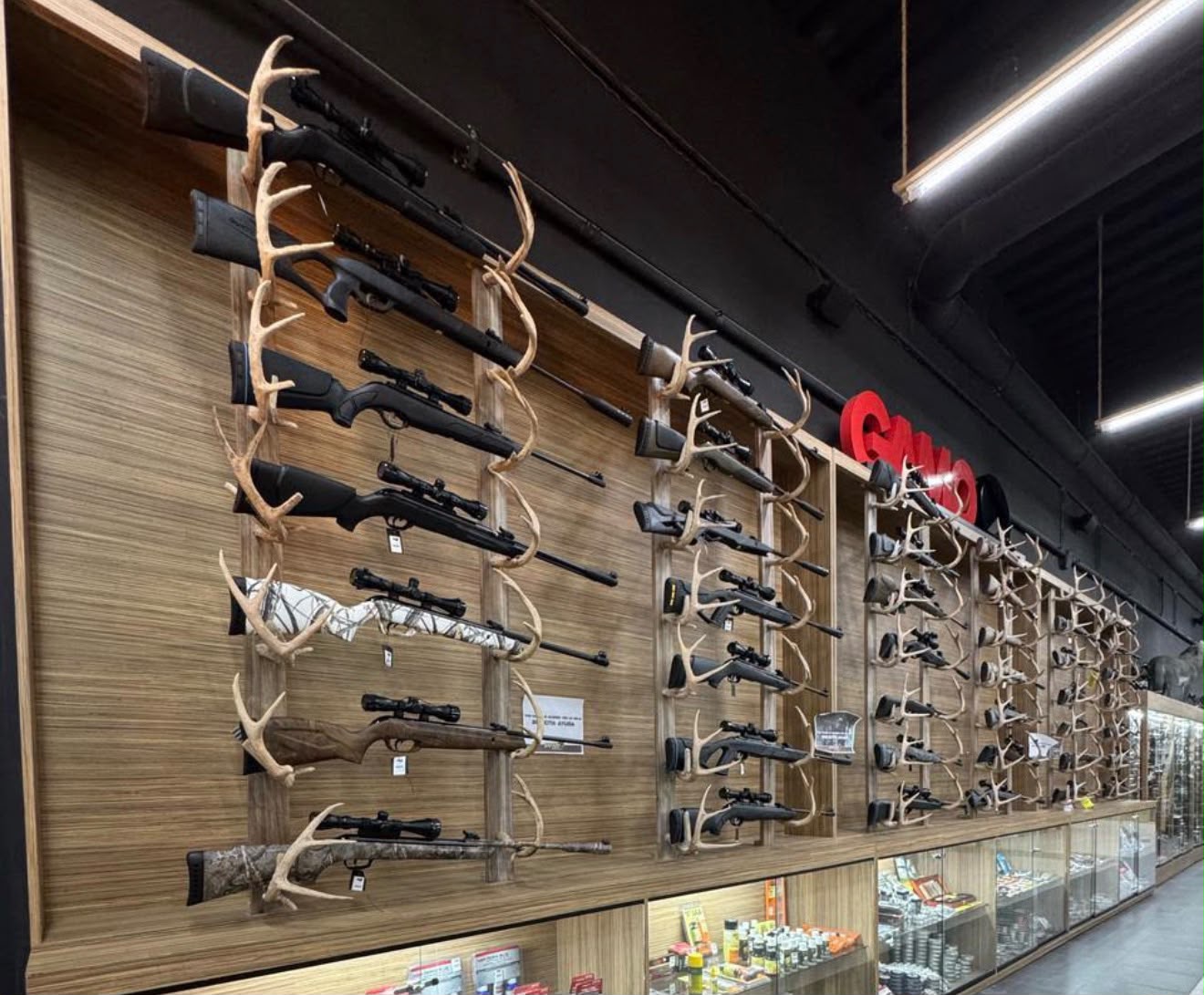 RIFLES DEPORTIVOS